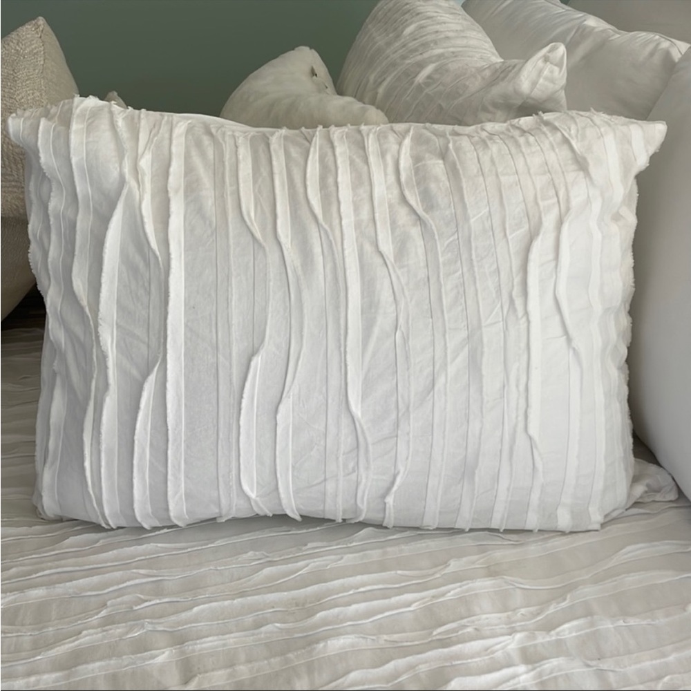 Pillow Sham Cover 2